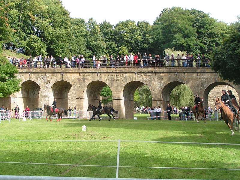 REMPARTS LONGWY 2008 138.jpg